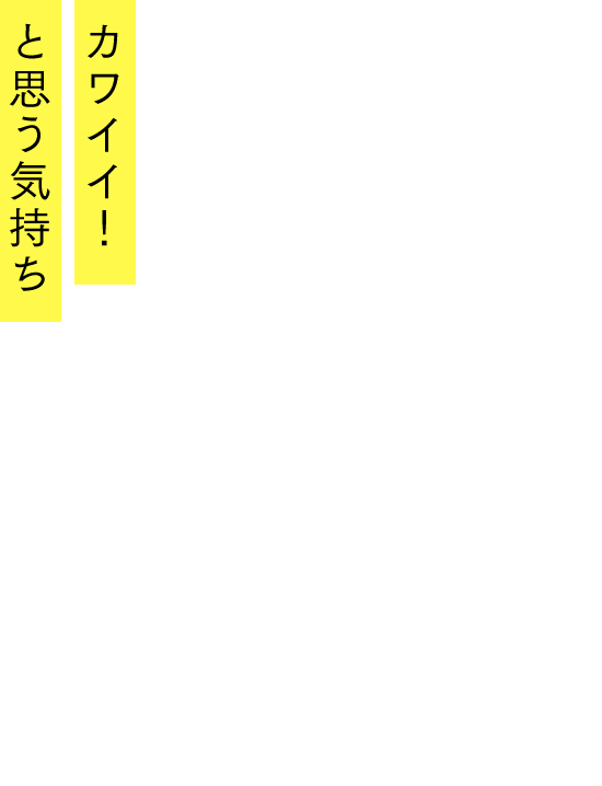 カワイイ！と思う気持ち